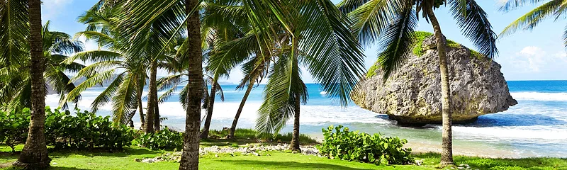 Bathsheba Beach
