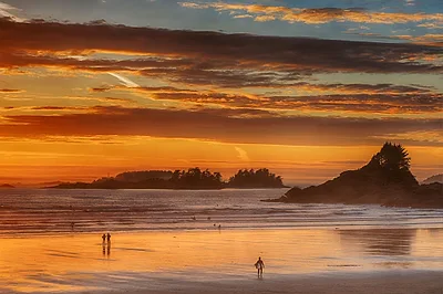 Tofino