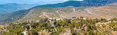 Troodos Mountains — popular photoshoot spot in Limassol