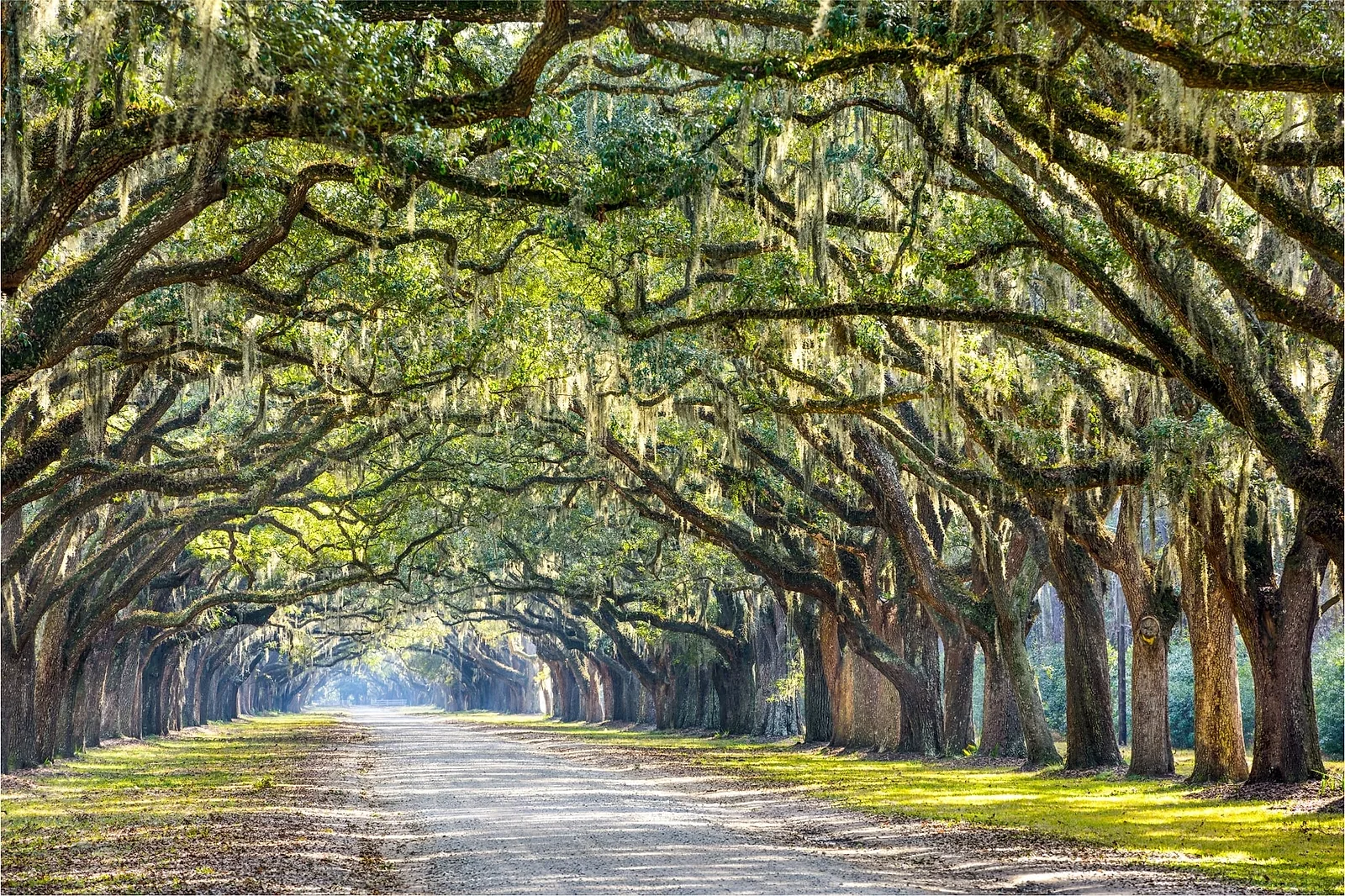 Location #6: Georgia.