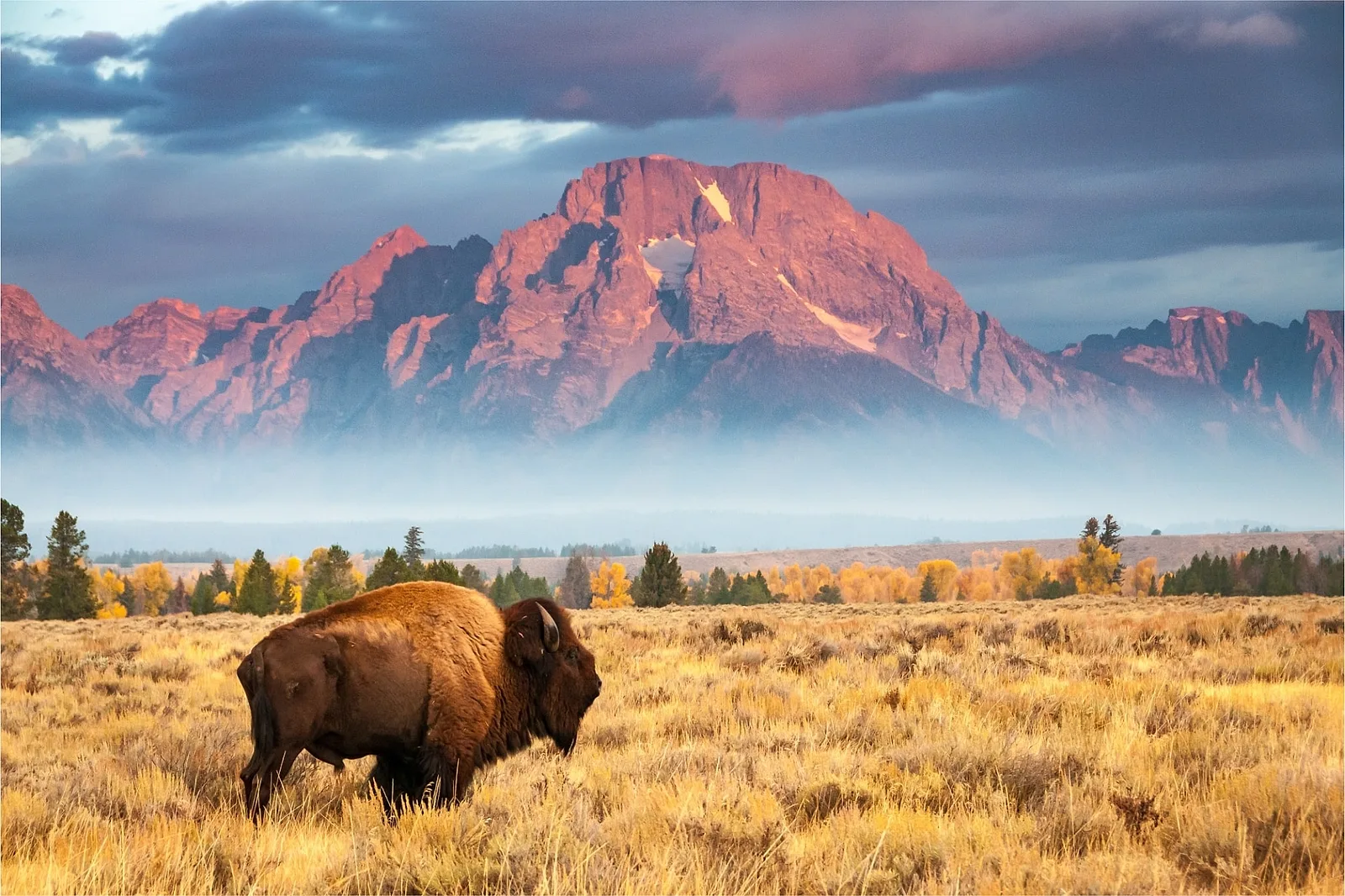 Location #5: Wyoming’.