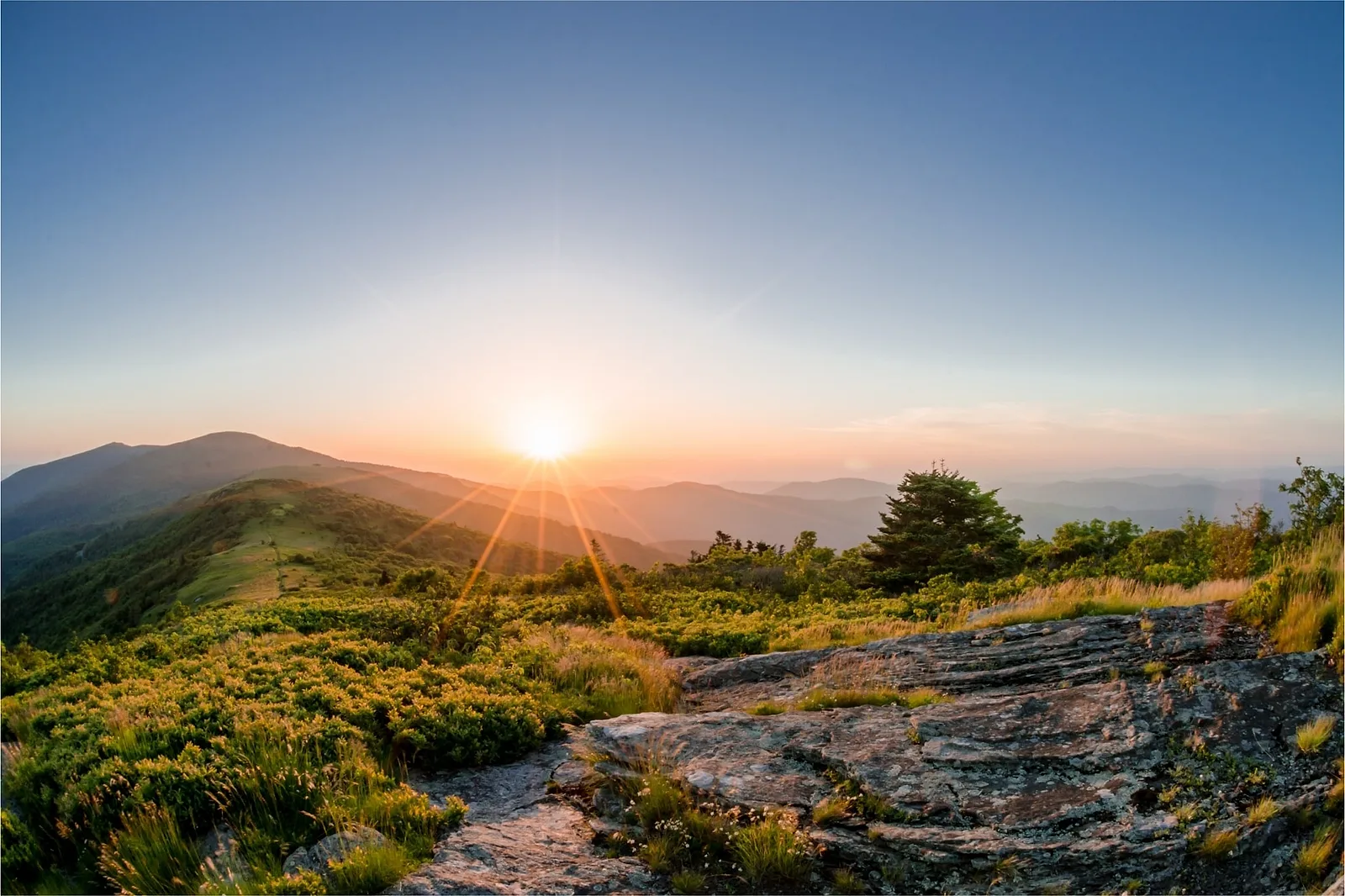 Location #2: Tennessee.