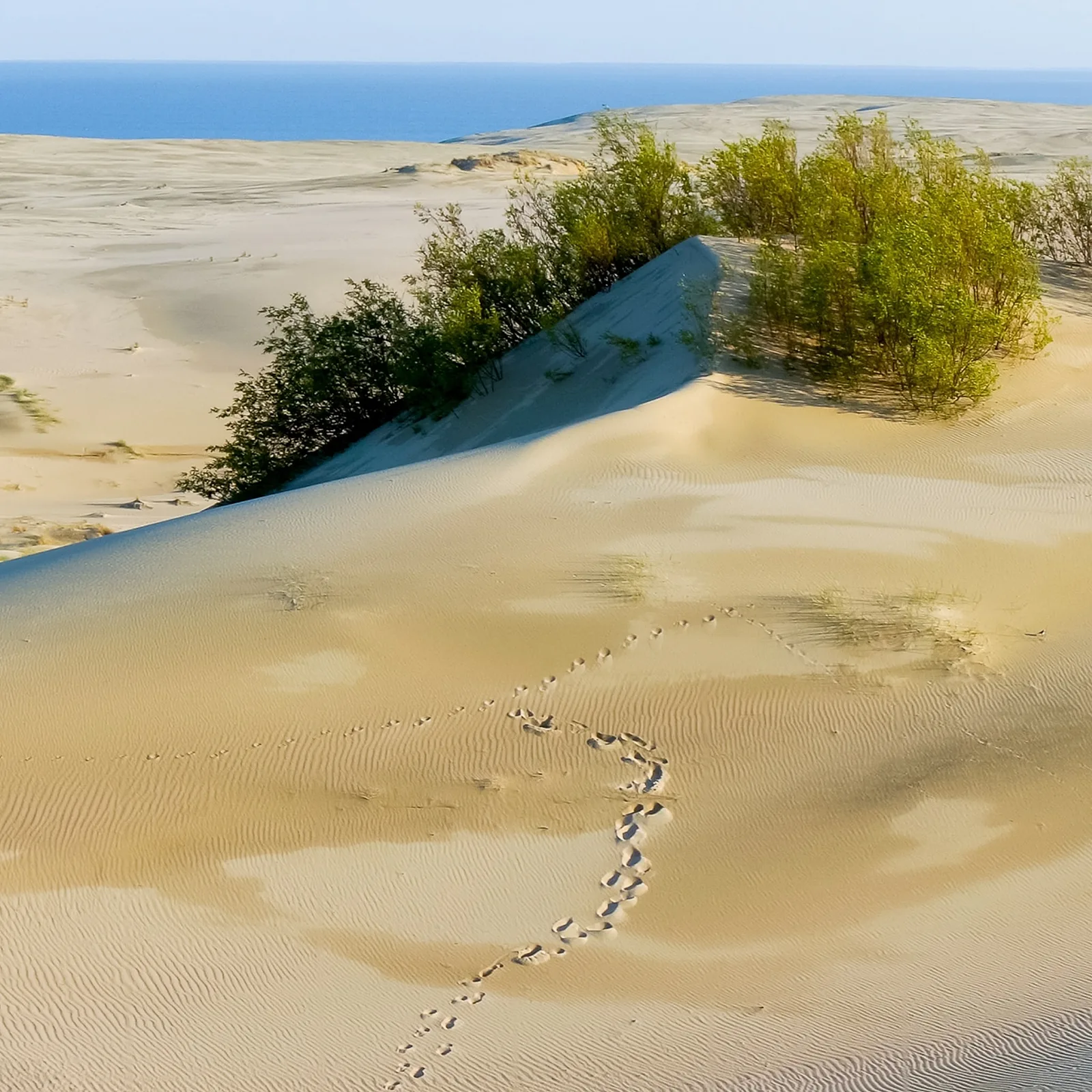 Place #4: Curonian Spit.