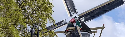 Keukenhof Windmill — popular photoshoot spot in Netherlands