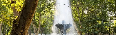 English Park — popular photoshoot spot in Yerevan