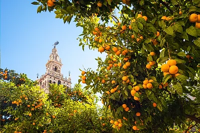 Andalusia