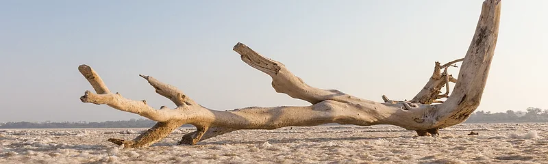 Larnaca Salt Lake & Hala Sultan Tekke