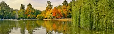 Cismigiu Gardens — popular photoshoot spot in Bucharest