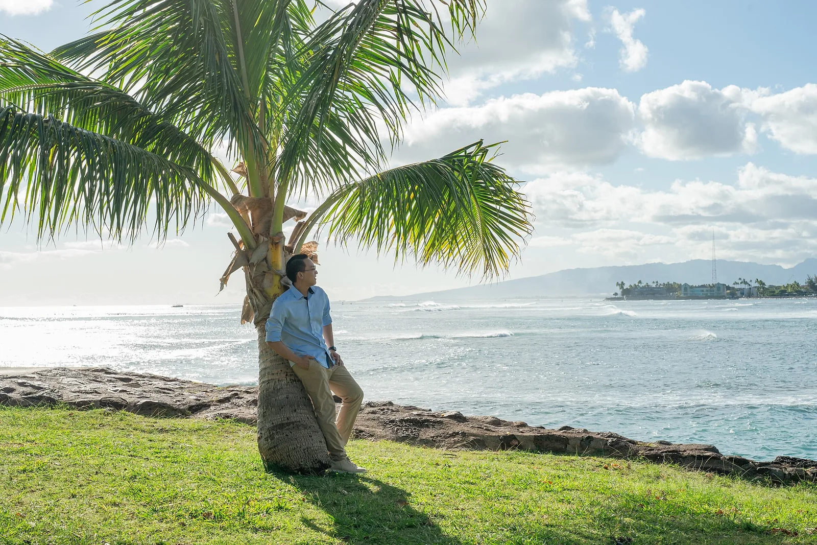 Palm Tree.
