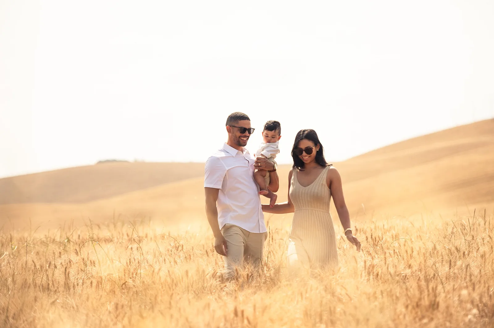 Golden Field Stroll.