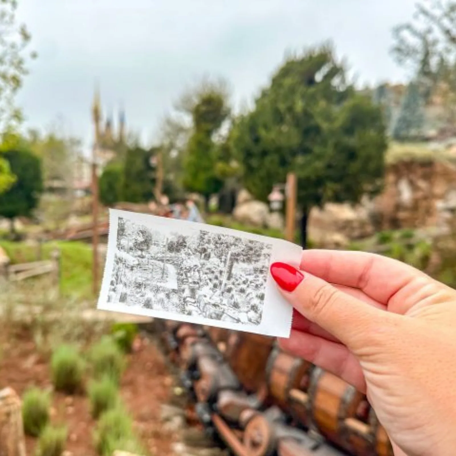 Are cameras allowed in Disneyland?