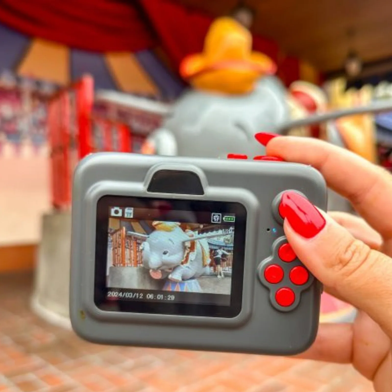 Are cameras allowed in Disneyland?