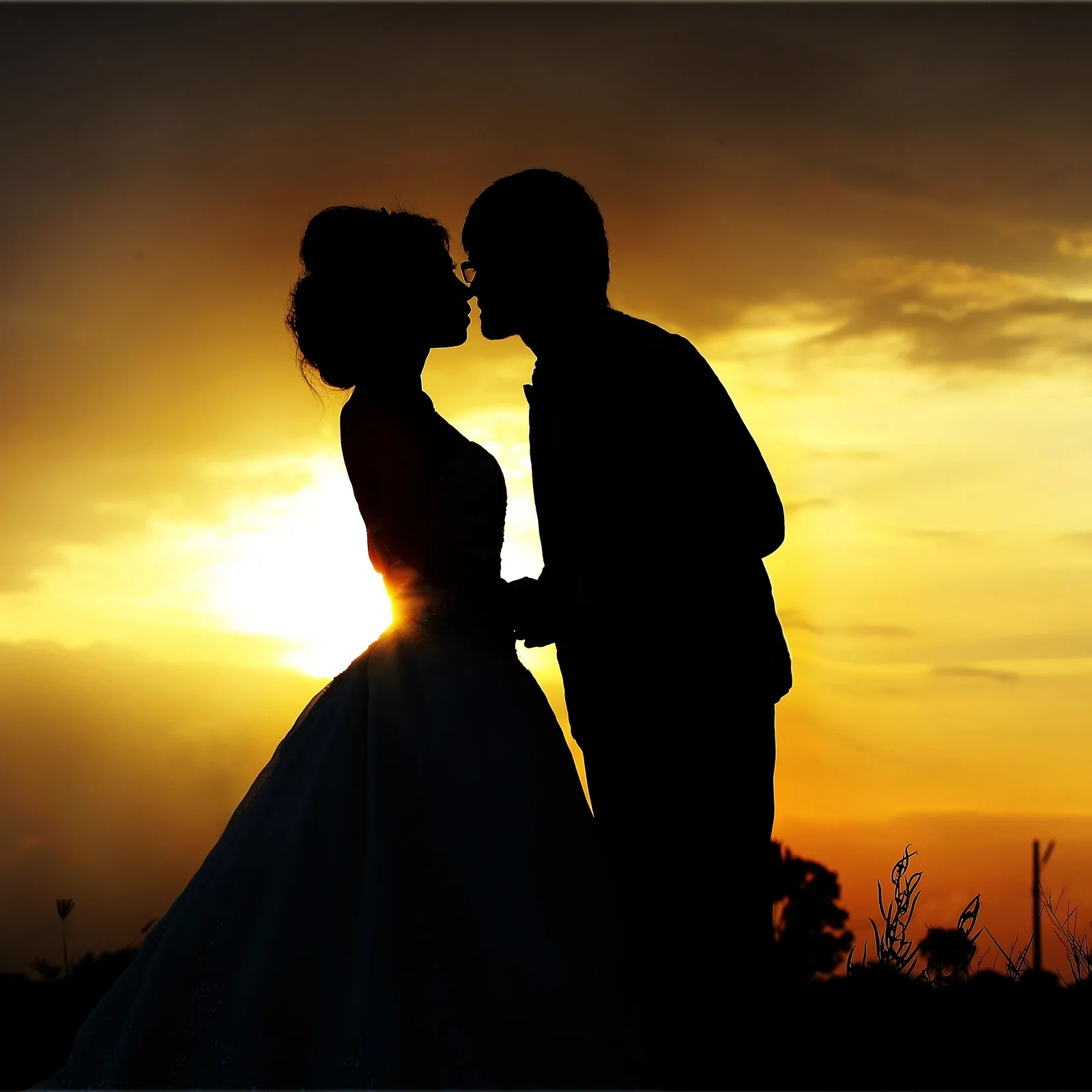 Silhouettes at Dusk.