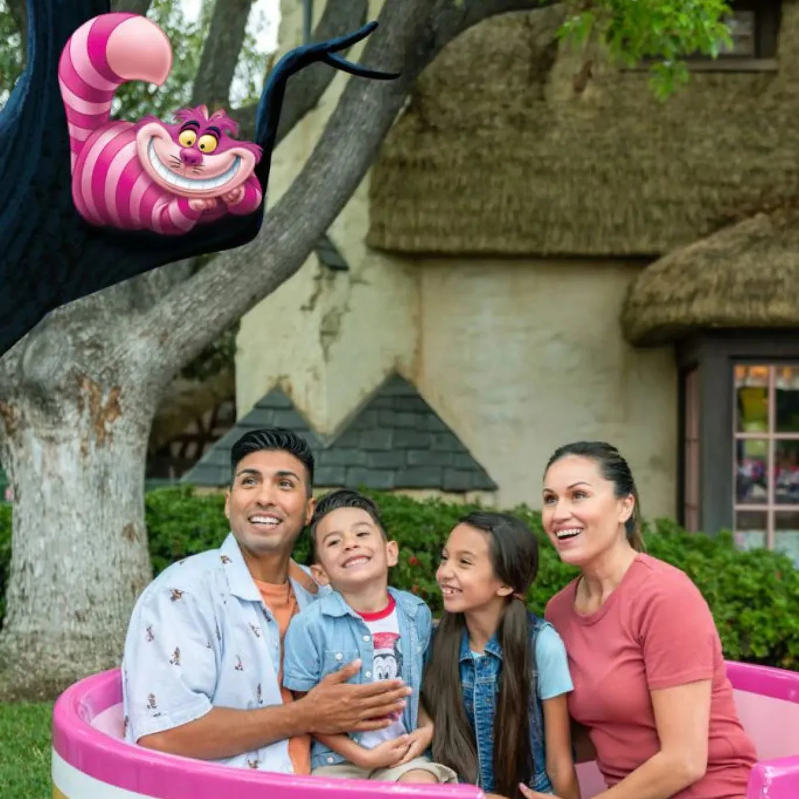 Disneyland PhotoPass: What’s the deal?