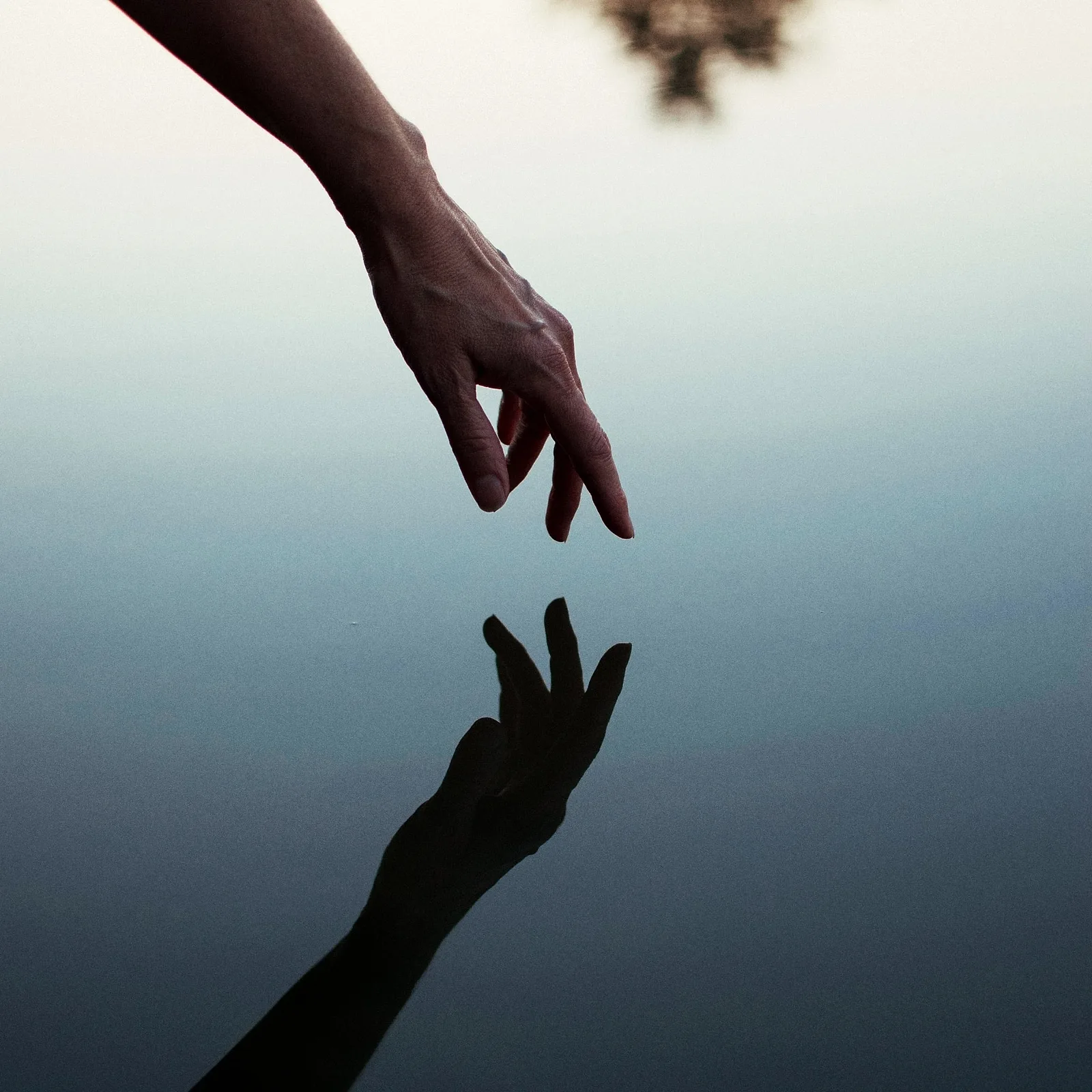 Reflections in Water.