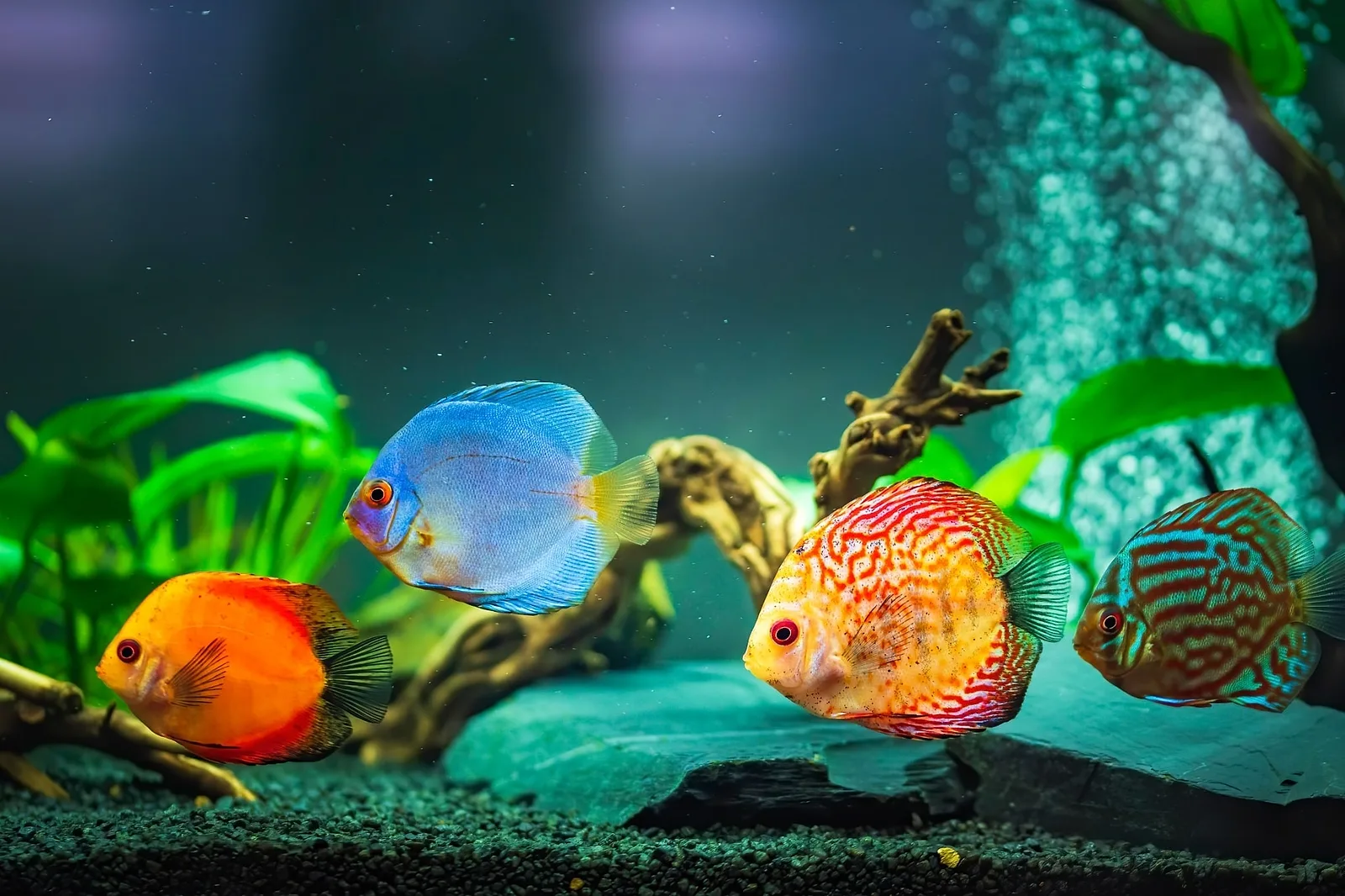 Photoshoot in Mallorca: trip #1: palma aquarium.