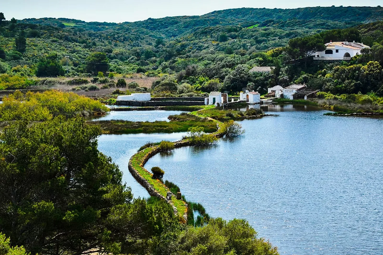 Photoshoot in Mallorca: nature parks.