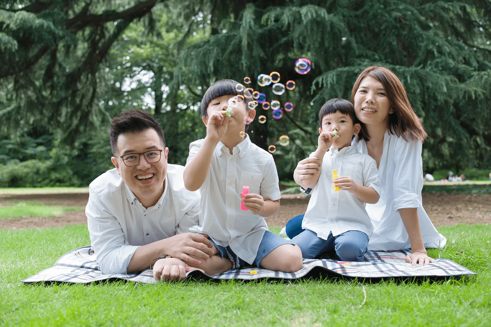 Picnic-Inspired Scenes.