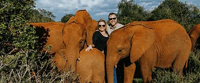 Kenya Travel Guide: Basics & The Most Picturesque Destinations