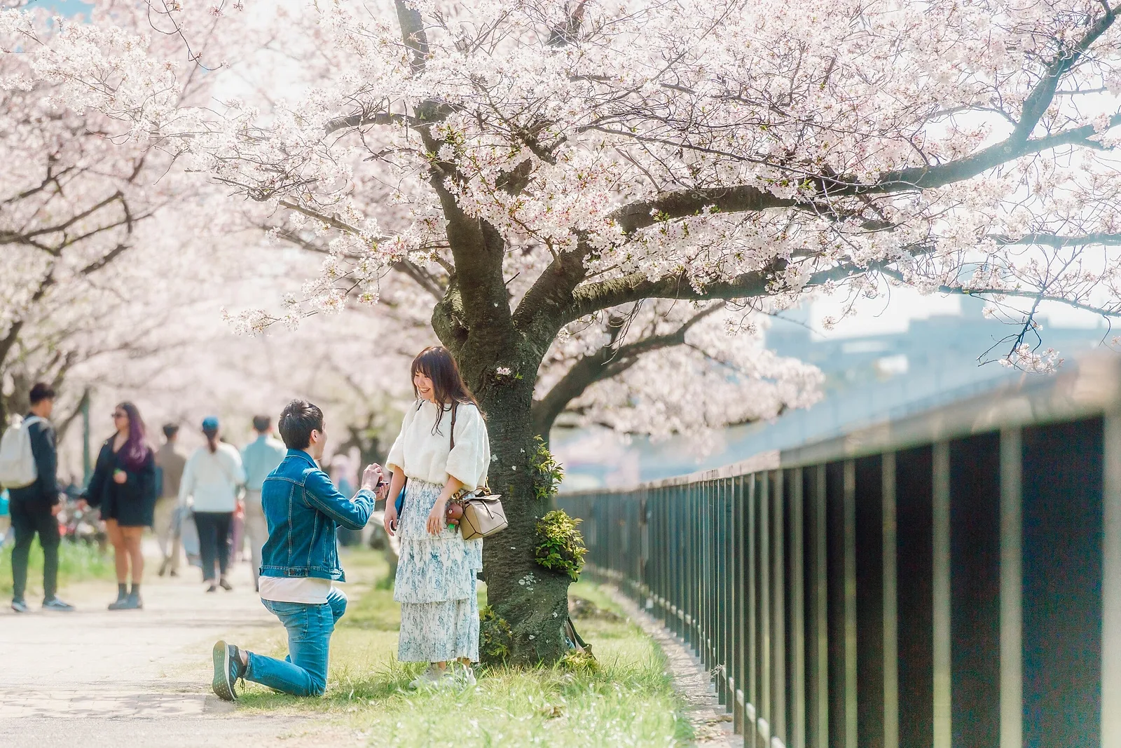 Proposal photoshoot by Daruma, Localgrapher in Osaka