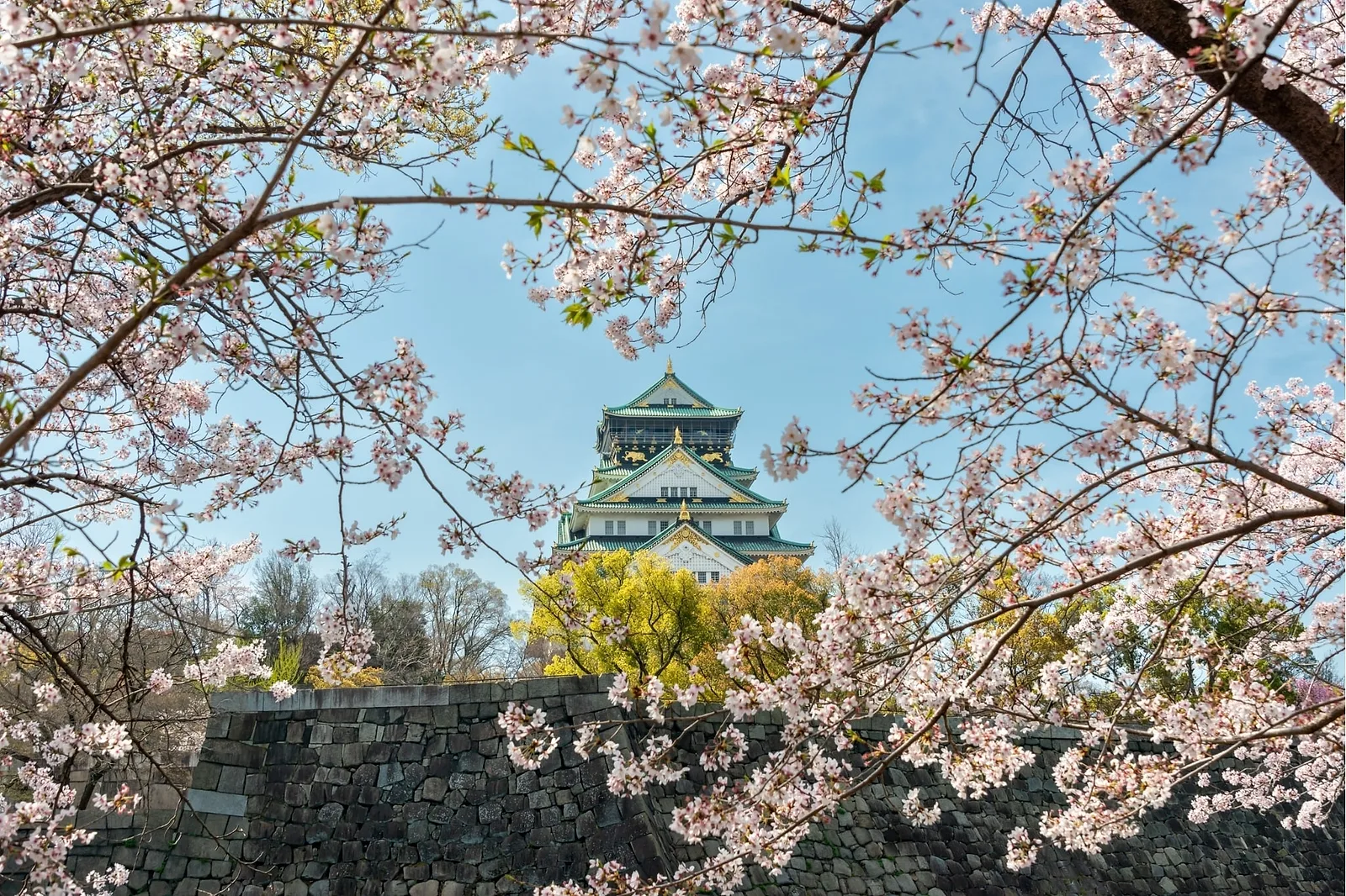 Planning a Secret Proposal in Osaka? A Local Photographer's Step-by-Step Guide (2026)