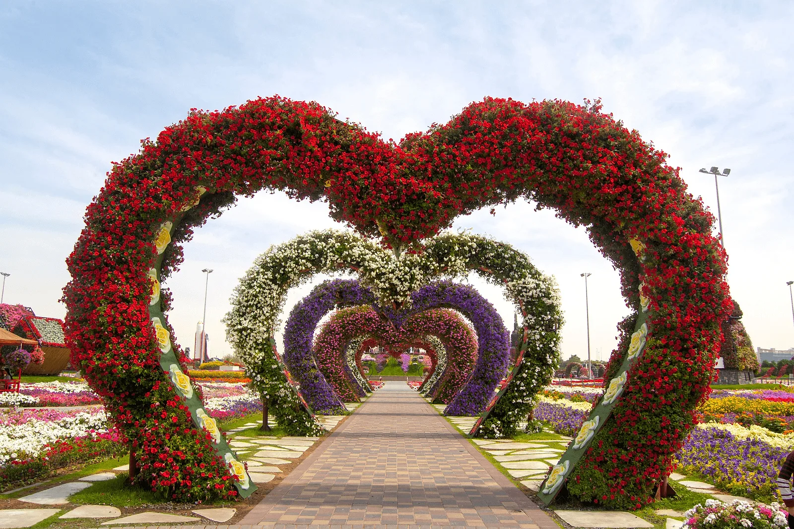 Miracle Garden, Dubai, United Arab Emirate,