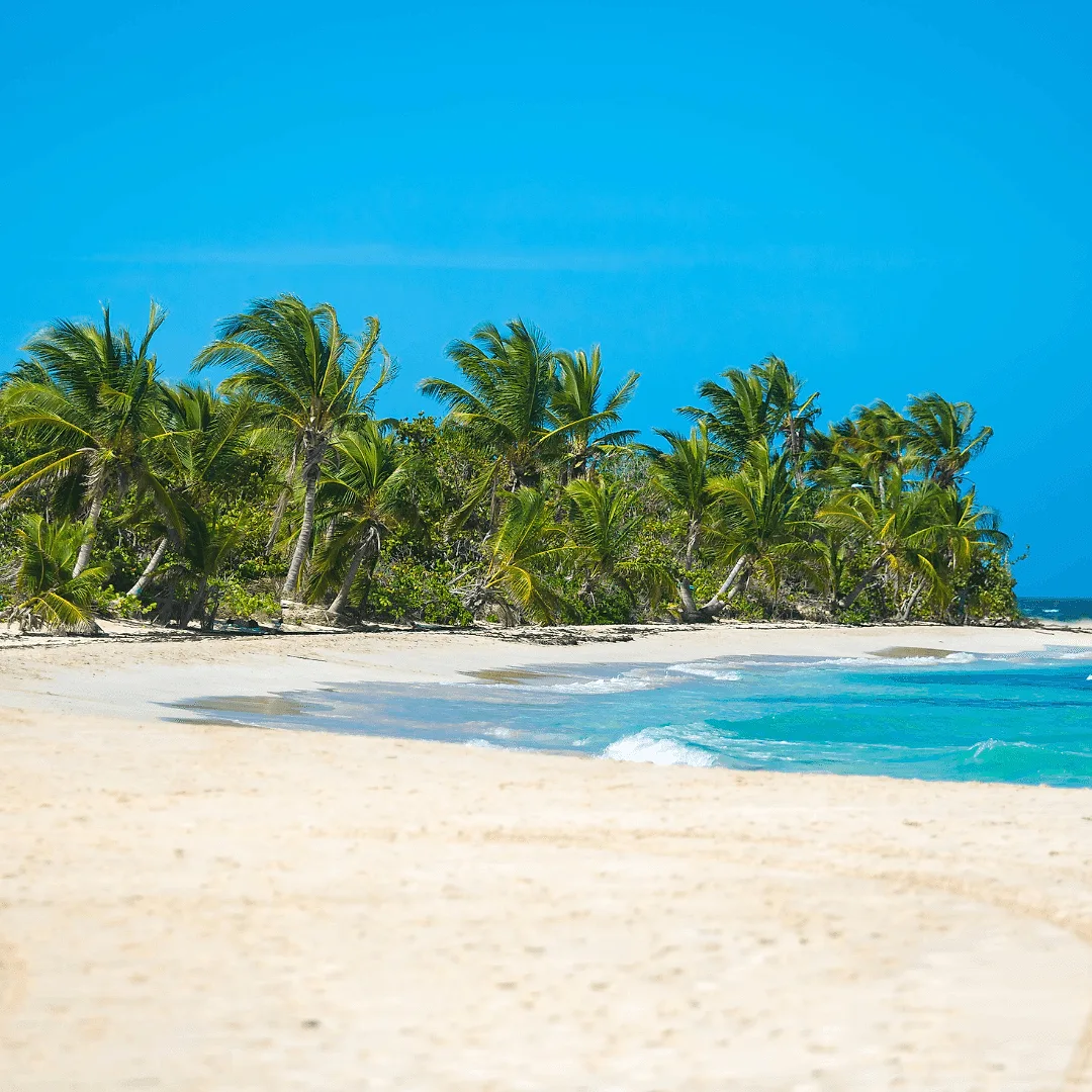 Reason #6: Capture the Scenic Beauty.