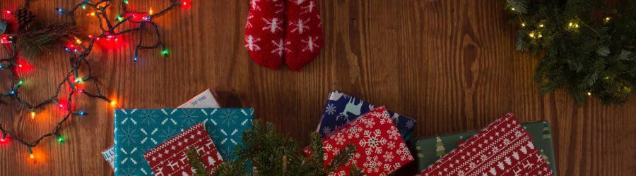 Christmas holiday photographer