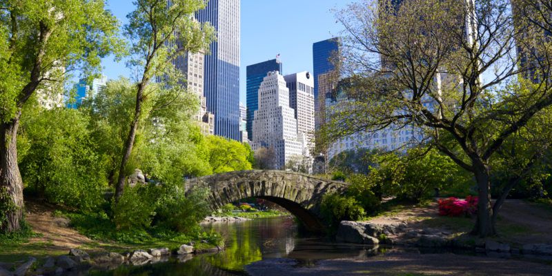 Wedding Photographer in New York City