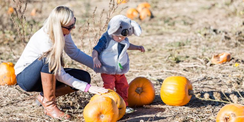 Best Family Photo Ideas in Autumn