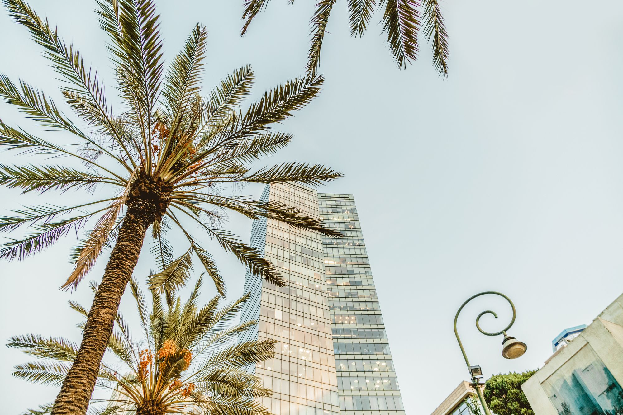 Rothschild Blvd. & Other Top Photo Spots in Tel Aviv Localgrapher