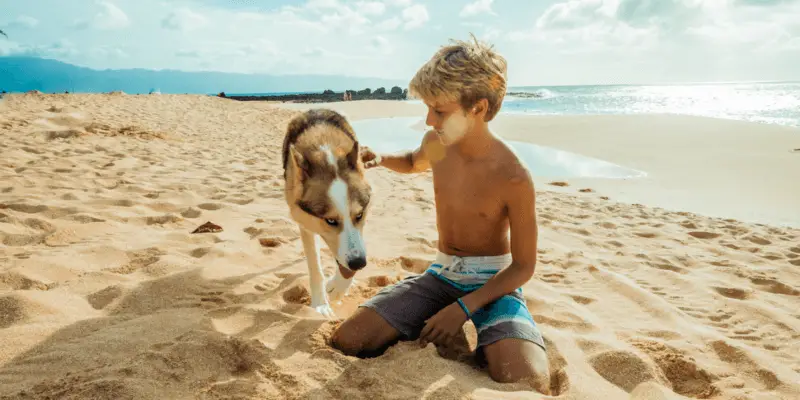 20 Beach Photoshoot Ideas From Around The World Localgrapher