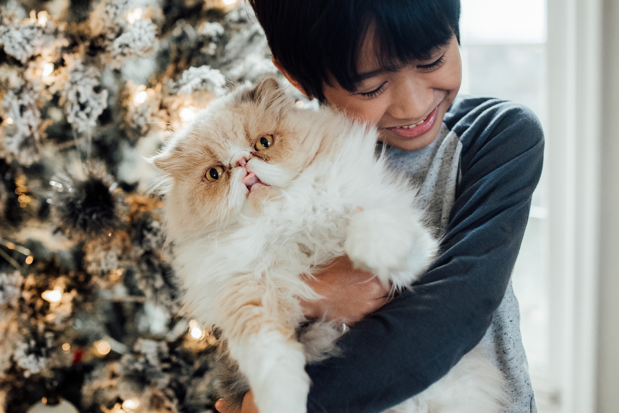 christmas photoshoot