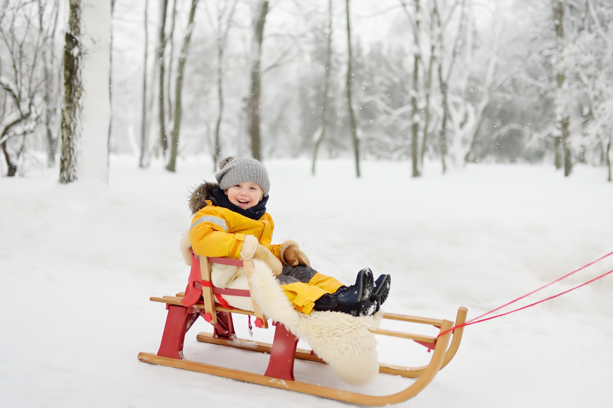 children's christmas photoshoot