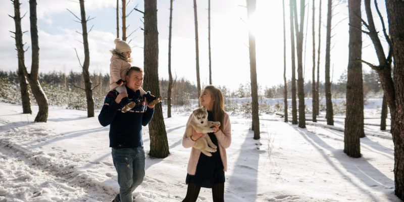 Christmas Photo Shoot