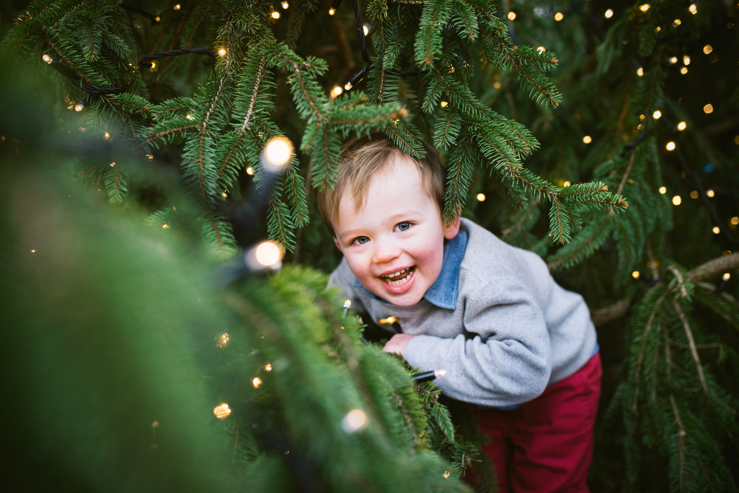 Family photoshoot by Sophia, Localgrapher in Munich
