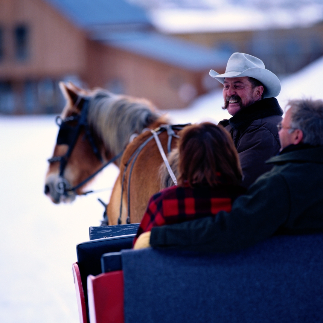 horse sleigh