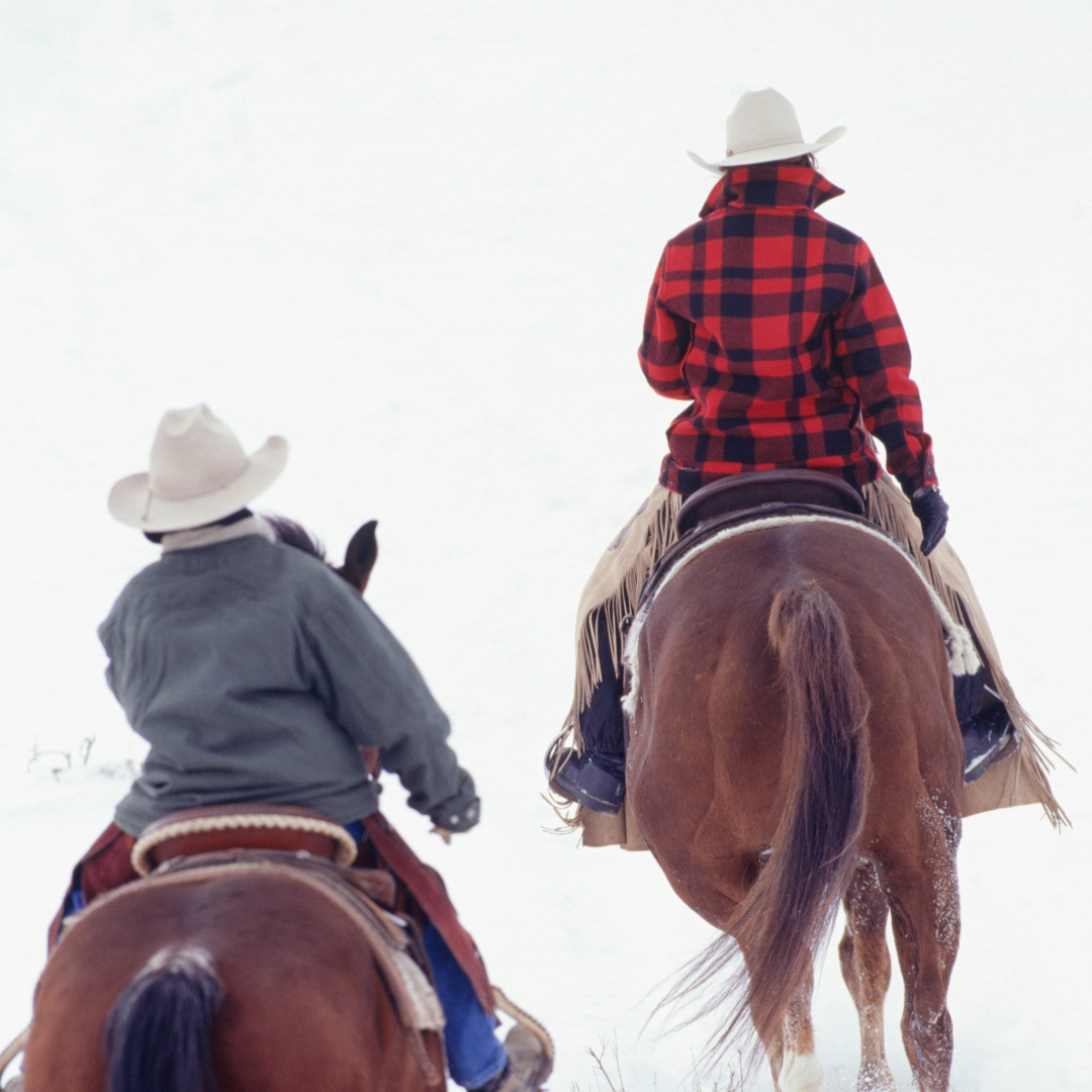 horse sleigh