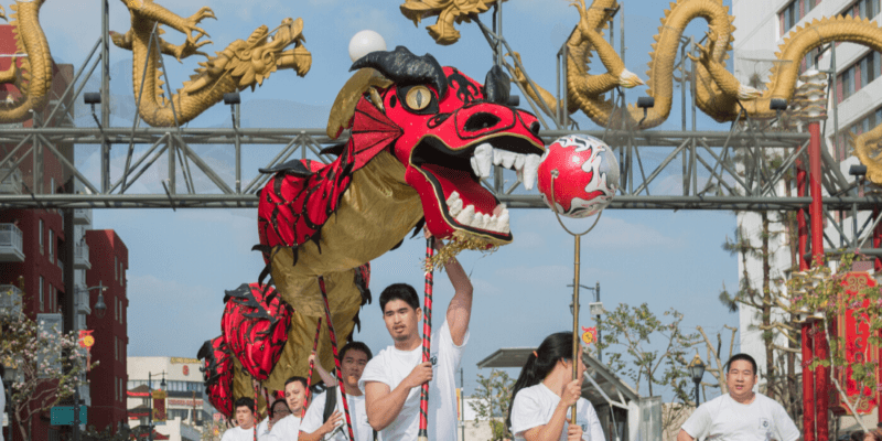 Chinese New Year Celebration