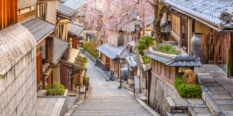 cherry blossom photo spots