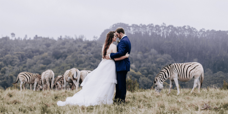 Wildlife Couple Photography