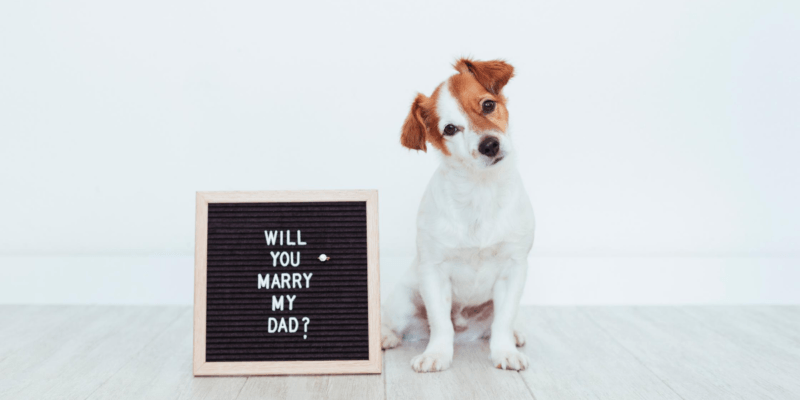 Proposal Photographer