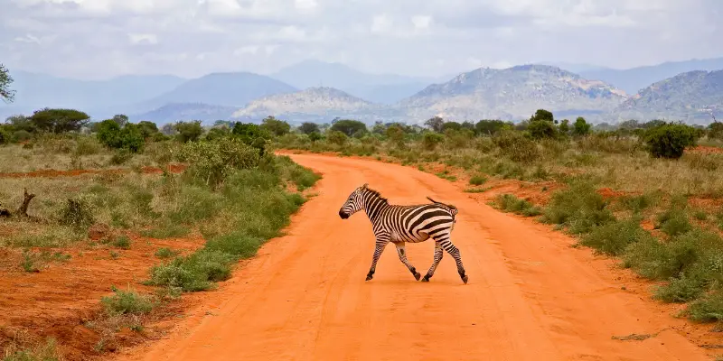 Traveling to Kenya - Tips and Ideas