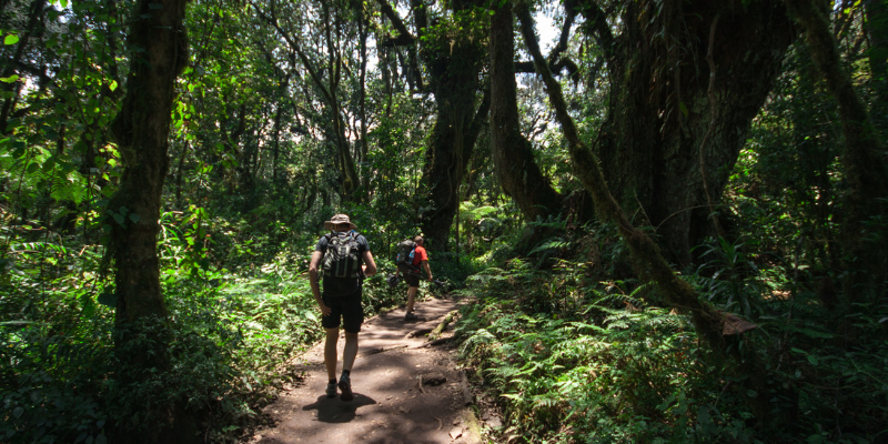 Tanzania Vacation Photographer