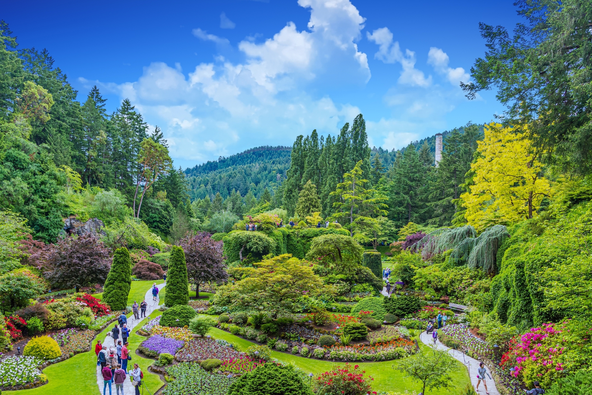 Butchart Gardens