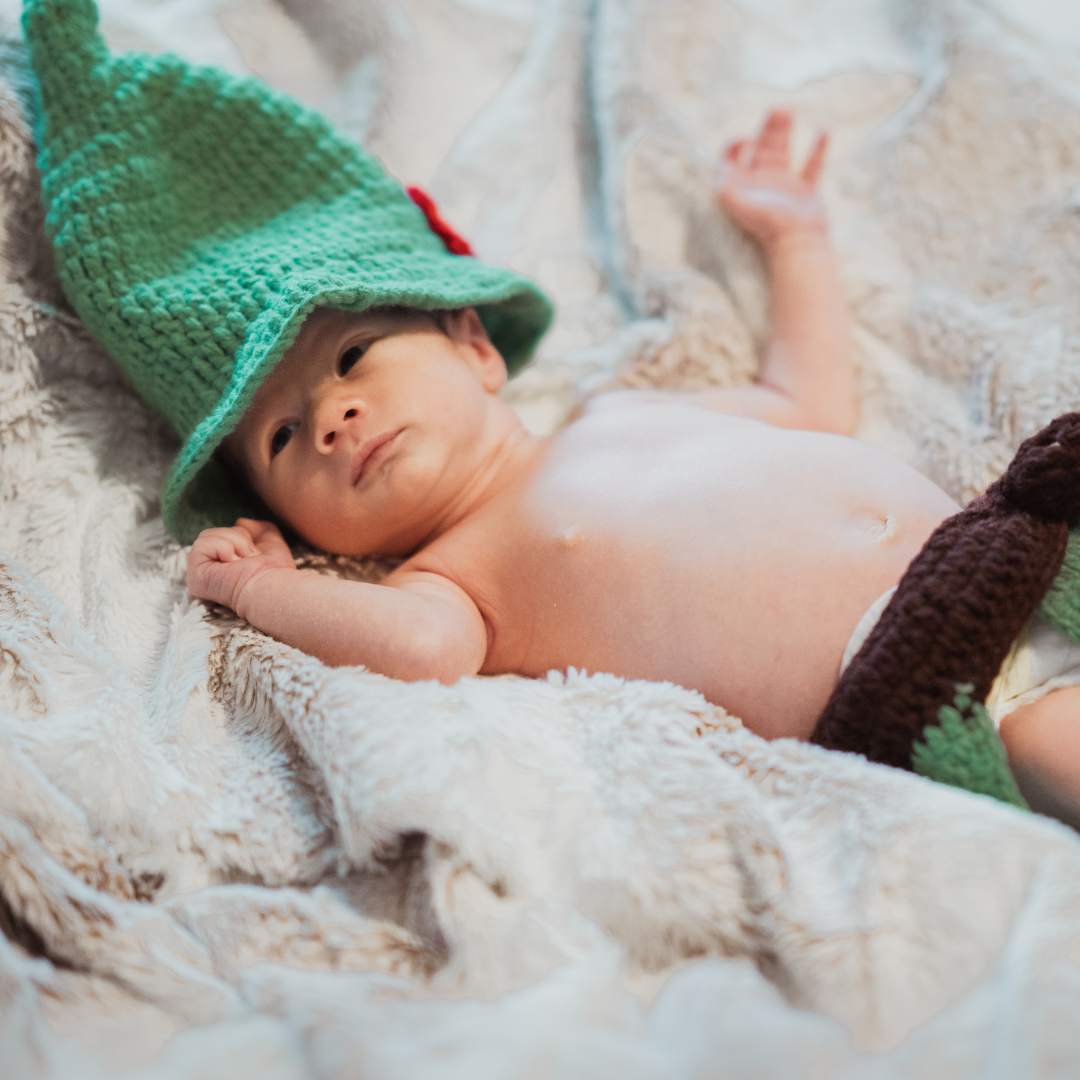 newborn photography props