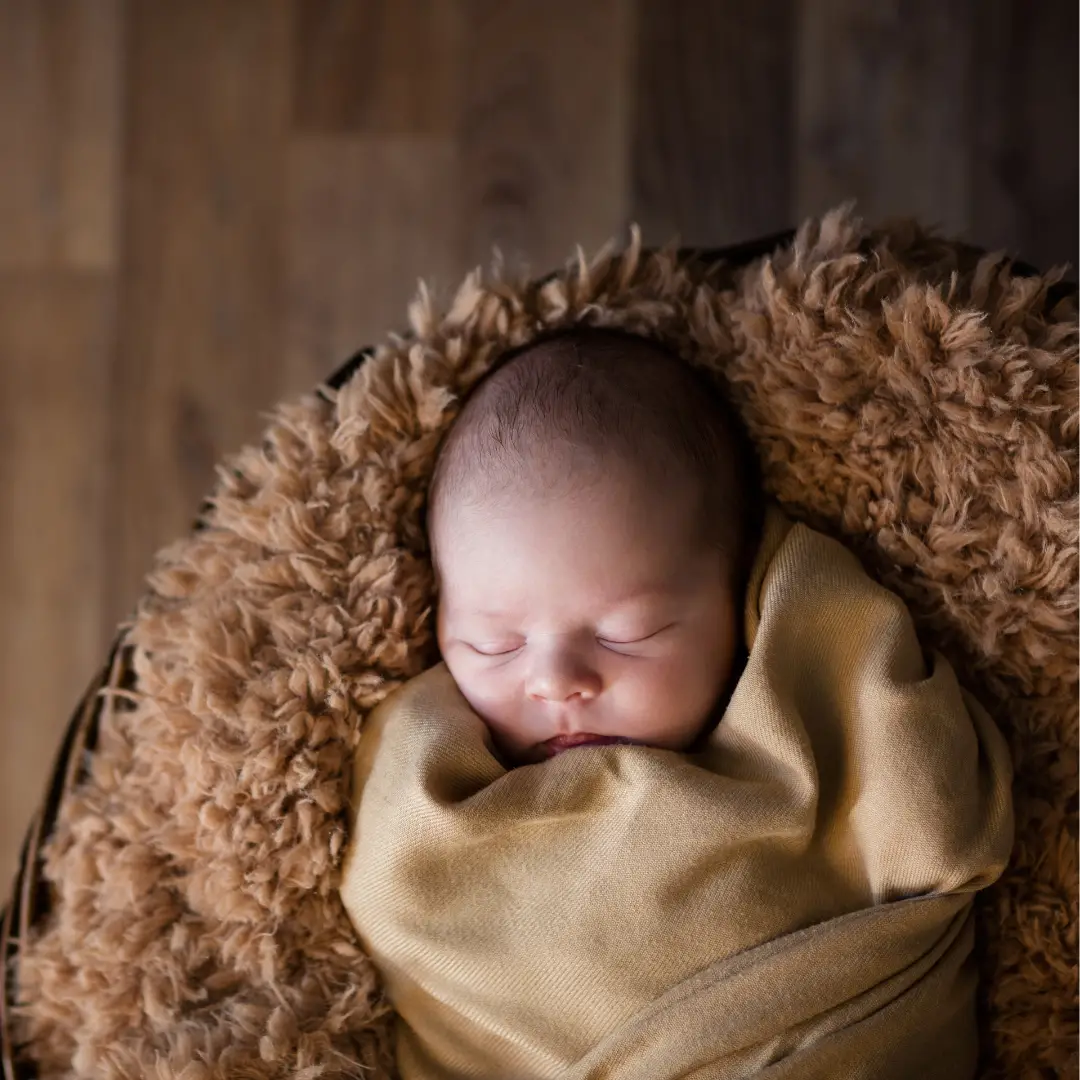 newborn photography props