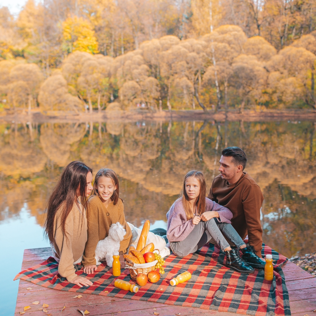 family picnic photoshoot