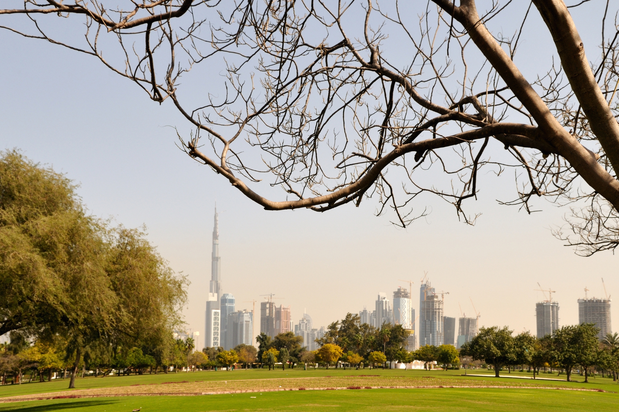 Al Safa Park dubai