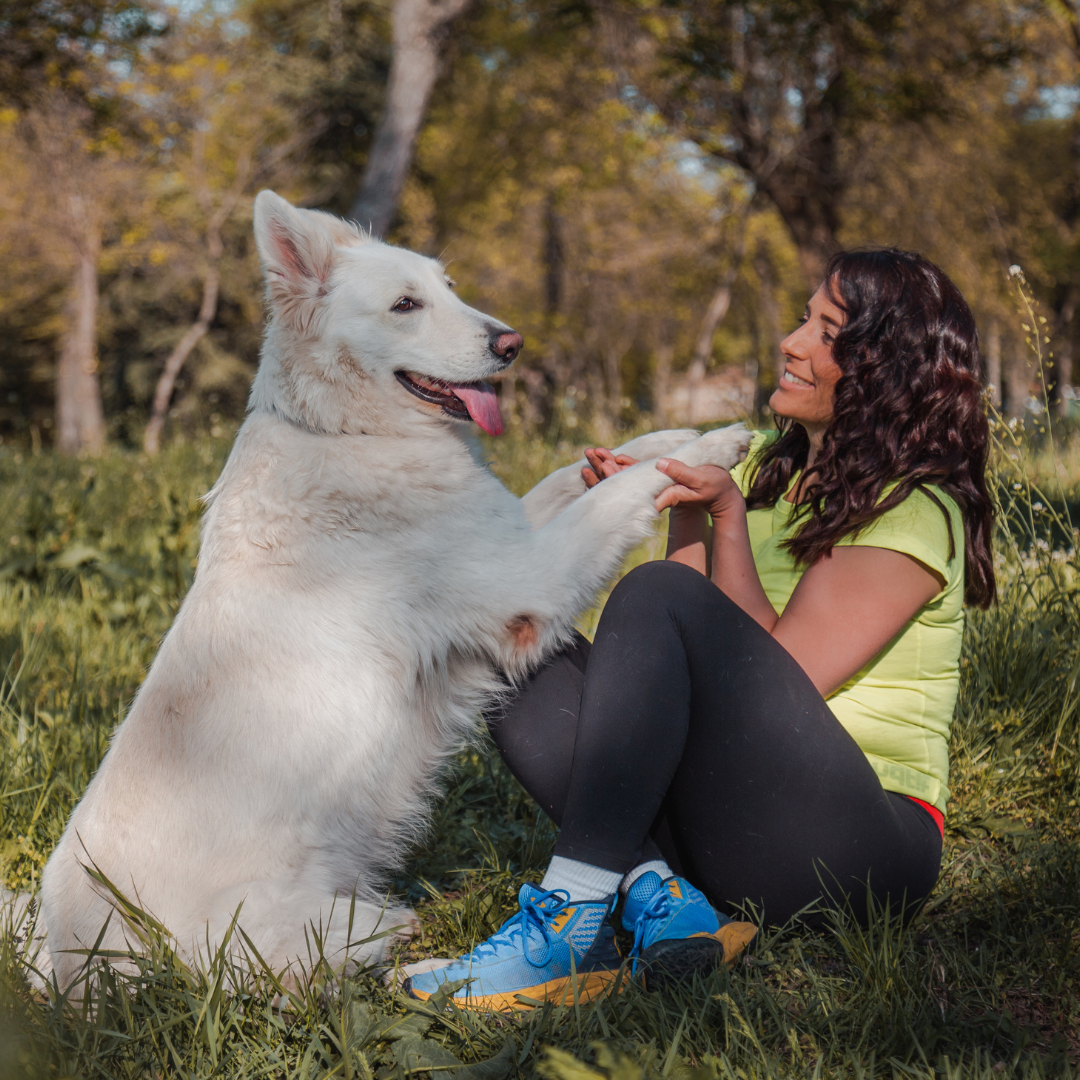 outdoor dog photoshoot